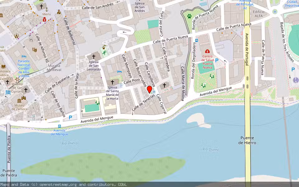 Mapa de Subasta Inmueble (Vivienda) en Zamora