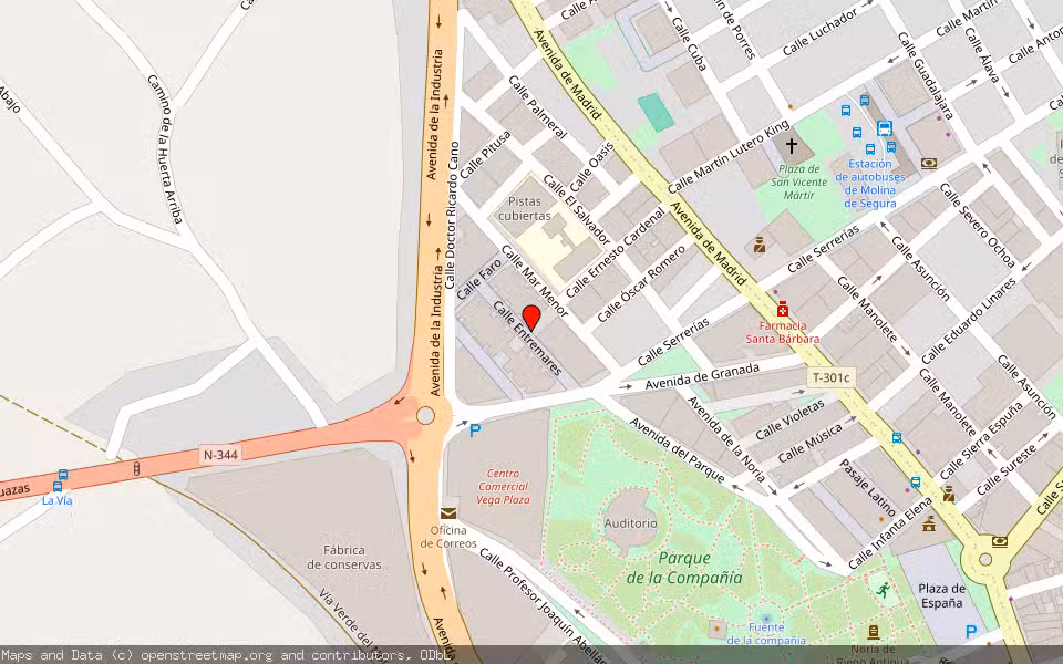 Mapa de Subasta Inmueble (Vivienda) en Molina De Segura, Murcia