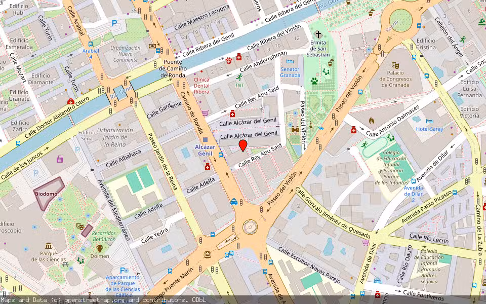 Mapa de Subasta Inmueble (Local comercial) en Granada