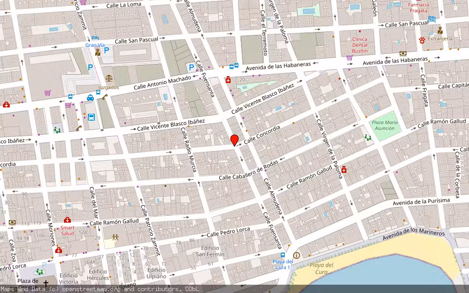 Mapa de Subasta Inmueble (Vivienda) en Torrevieja, Alicante/Alacant