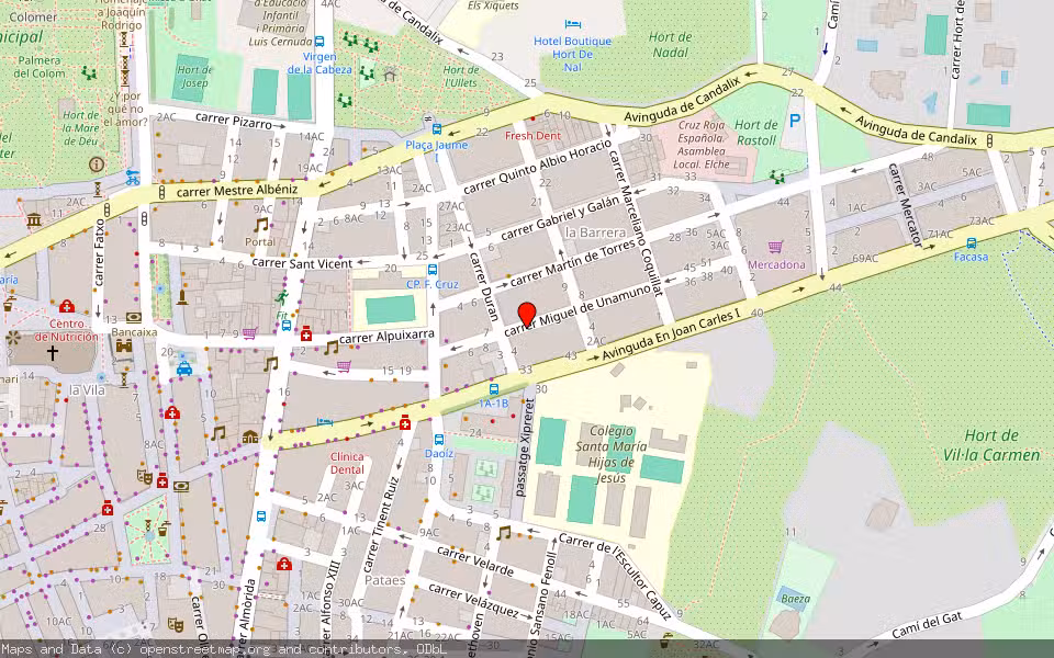 Mapa de Subasta Inmueble (Vivienda) en Elche, Alicante/Alacant