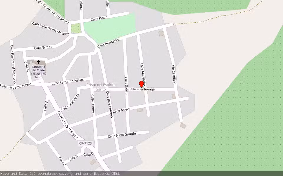 Mapa de Subasta Inmueble (Vivienda) en Malagon, Ciudad Real
