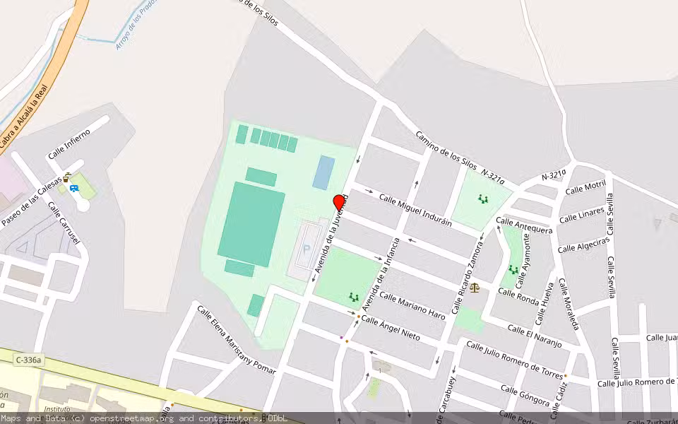 Mapa de Subasta Inmueble (Vivienda) en Priego De Córdoba, Córdoba