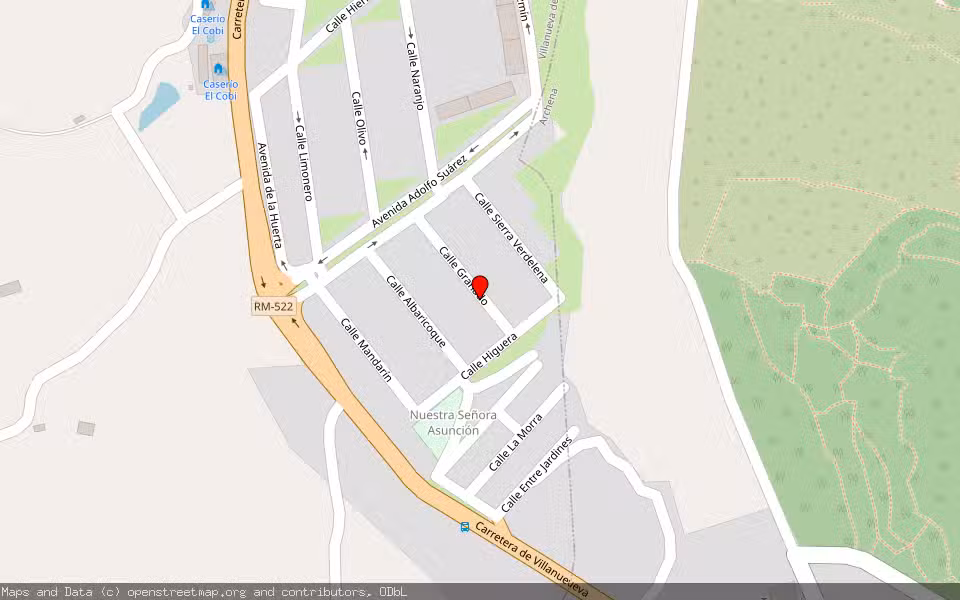 Mapa de Subasta Inmueble (Garaje) en Villanueva Del Rio Segura, Murcia