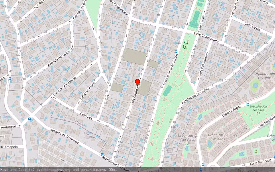 Mapa de Subasta Inmueble (Vivienda) en Torrevieja, Alicante/Alacant