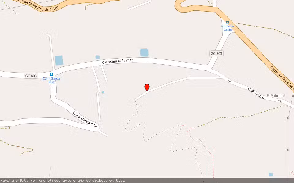 Mapa de Subasta Inmueble (Finca rústica) en Telde, Las Palmas
