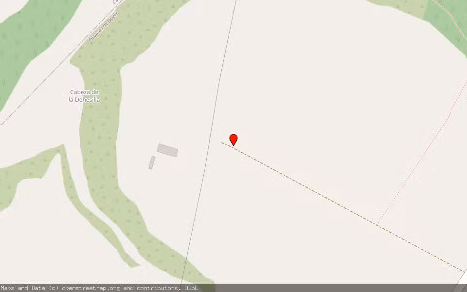 Mapa de Subasta Inmueble (Finca rústica) en Olivares Del Duero, Valladolid