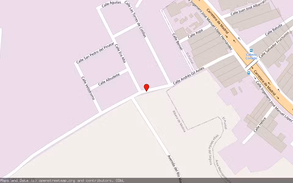 Mapa de Subasta Inmueble (Nave industrial) en Molina De Segura, Murcia