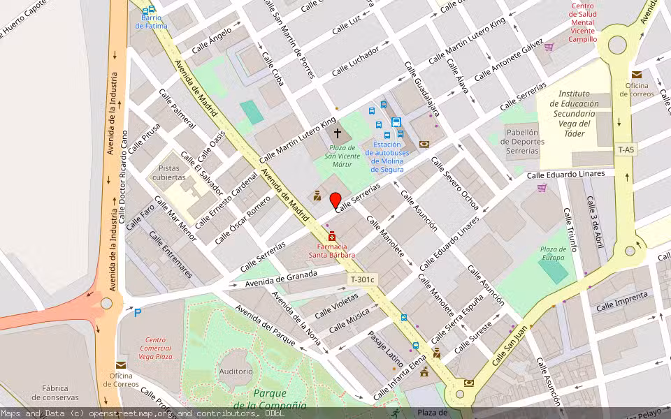 Mapa de Subasta Inmueble (Garaje) en Molina De Segura, Murcia