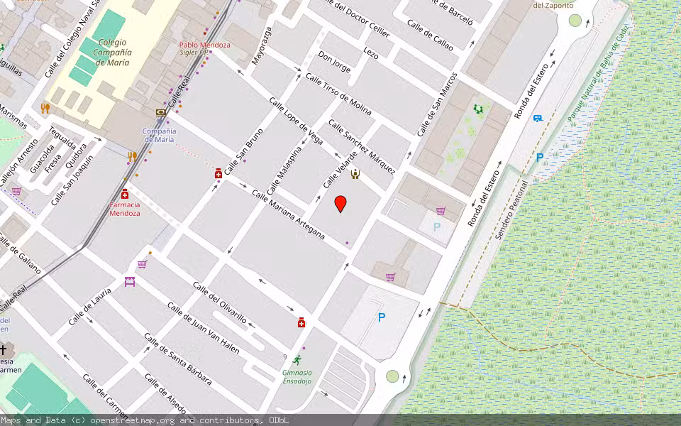 Mapa de Subasta Inmueble (Vivienda) en San Fernando, Cádiz