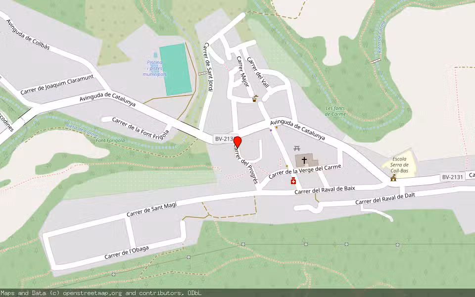 Mapa de Subasta Inmueble (Vivienda) en Carme, Barcelona