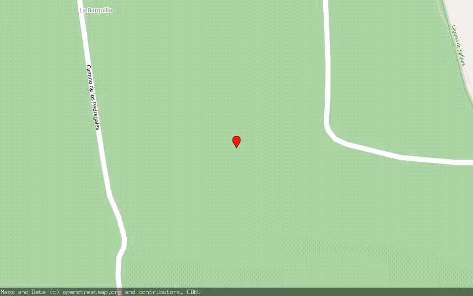 Mapa de Subasta Inmueble (Finca rústica) en Salinas, Alicante/Alacant