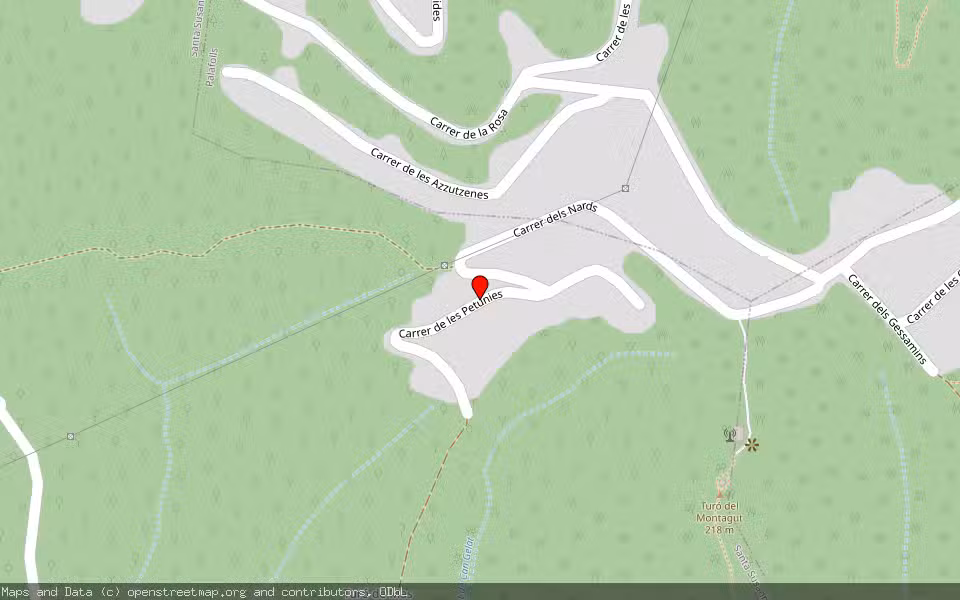 Mapa de Subasta Inmueble (Vivienda) en Santa Susana, Barcelona