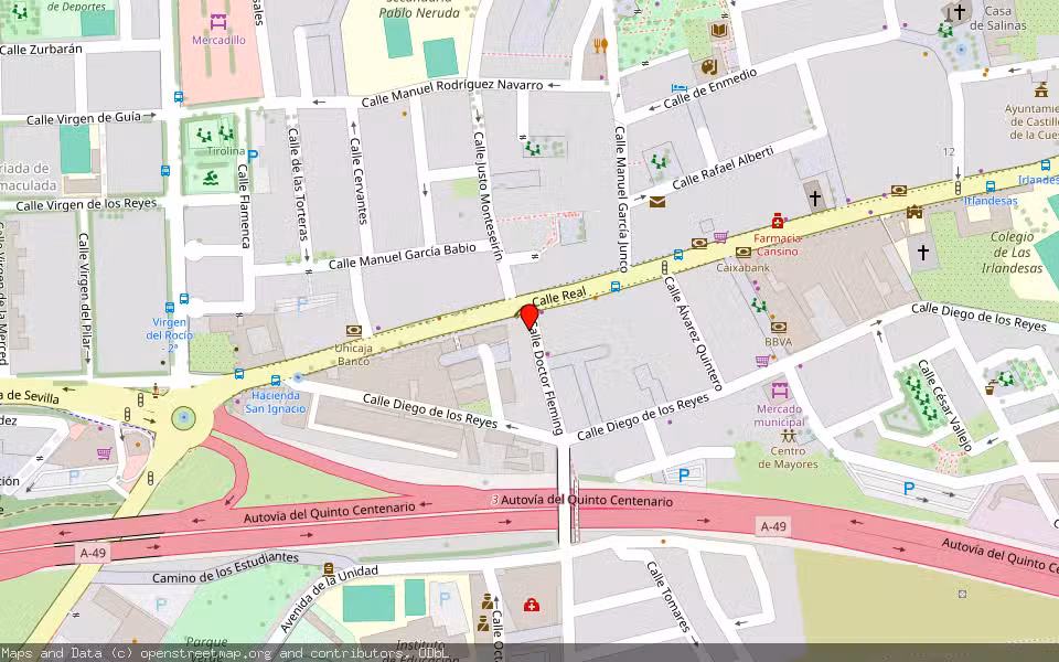 Mapa de Subasta Inmueble (Vivienda) en Castilleja De La Cuesta, Sevilla