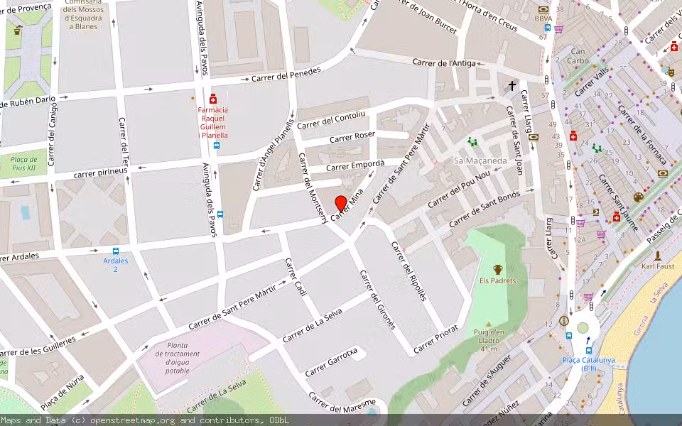 Mapa de Subasta Inmueble (Vivienda) en Blanes, Girona