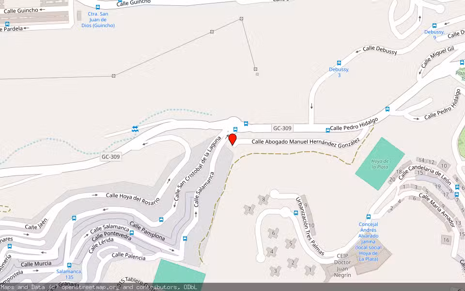 Mapa de Subasta Inmueble (Vivienda) en Las Palmas De Gran Canaria, Las Palmas