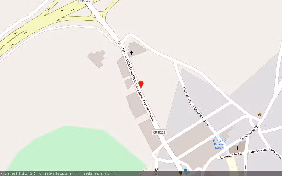 Mapa de Subasta Inmueble (Vivienda) en Santa Cruz De Mudela, Ciudad Real