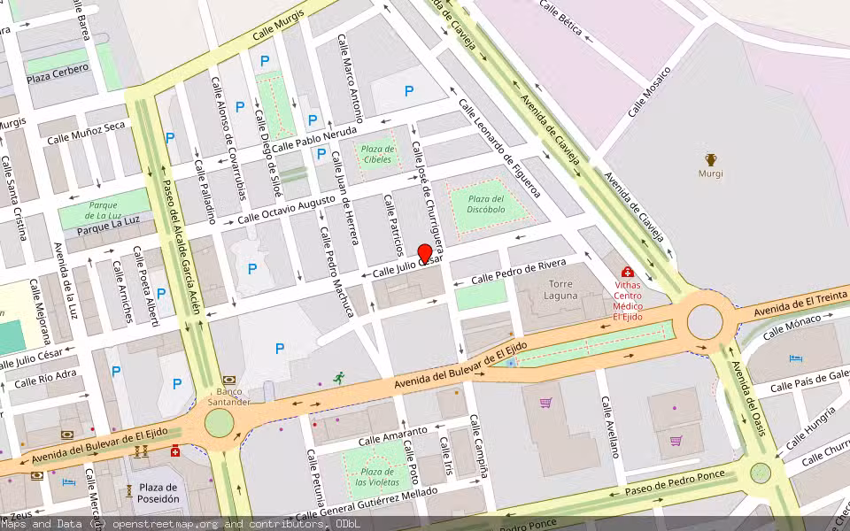 Mapa de Subasta Inmueble (Vivienda) en El Ejido, Almería