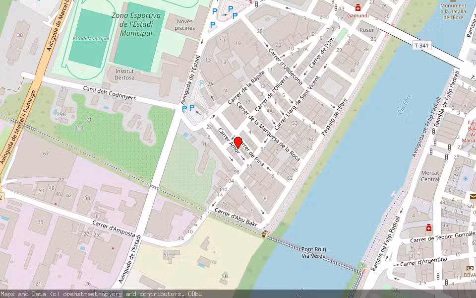 Mapa de Subasta Inmueble (Vivienda) en Tortosa, Tarragona