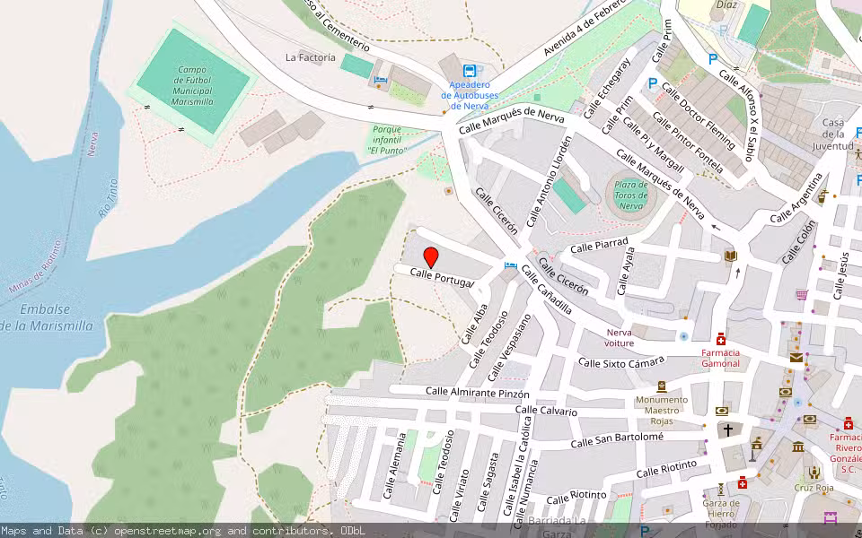 Mapa de Subasta Inmueble (Vivienda) en Nerva, Huelva