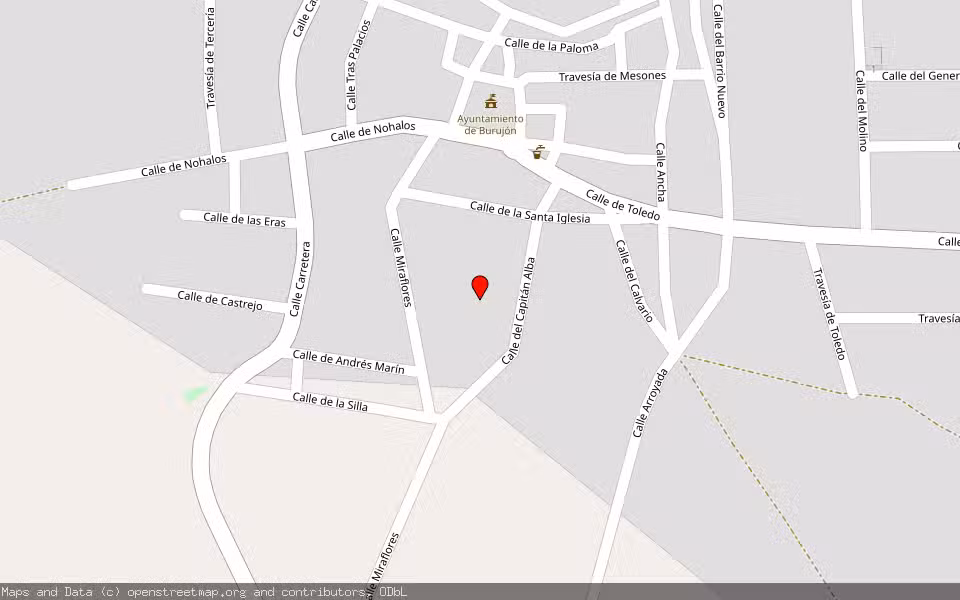 Mapa de Subasta Inmueble (Solar) en Burujon, Toledo