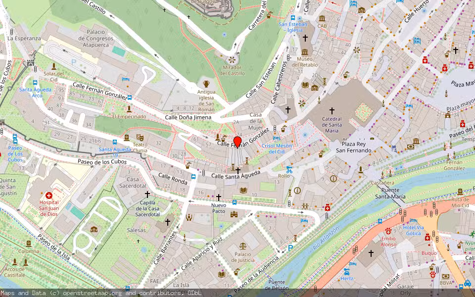 Mapa de Subasta Inmueble (Vivienda) en Burgos