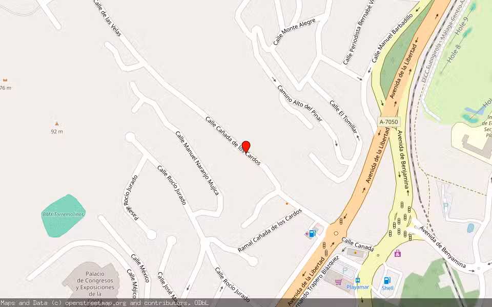 Mapa de Subasta Inmueble (Finca rústica) en Torremolinos, Málaga