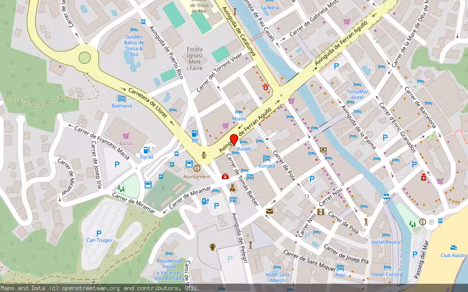 Mapa de Subasta Inmueble (Vivienda) en Tossa De Mar, Girona