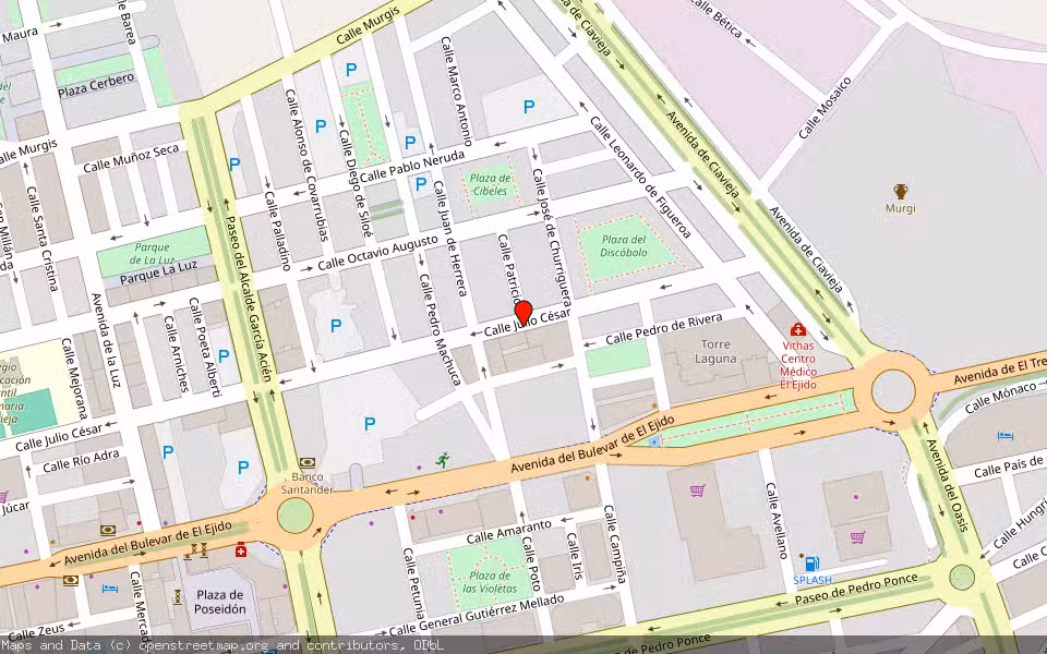 Mapa de Subasta Inmueble (Local comercial) en El Ejido, Almería