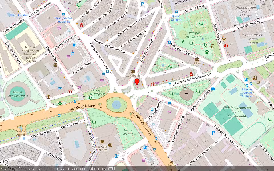Mapa de Subasta Inmueble (Vivienda) en Torrejón De Ardoz, Madrid
