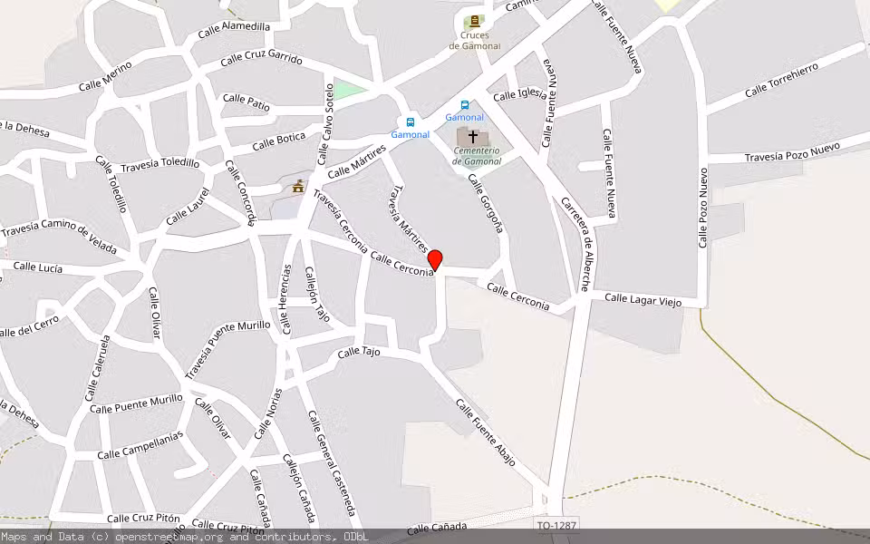 Mapa de Subasta Inmueble (Vivienda) en Gamonal, Toledo