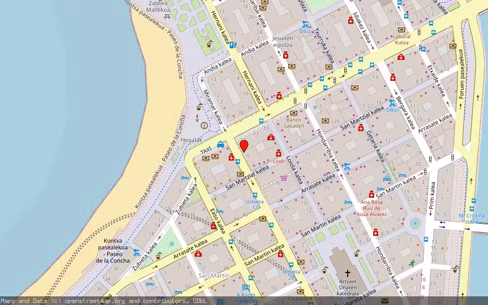 Mapa de Subasta Inmueble (Vivienda) en San Sebastian (guipuzcoa), Gipuzkoa