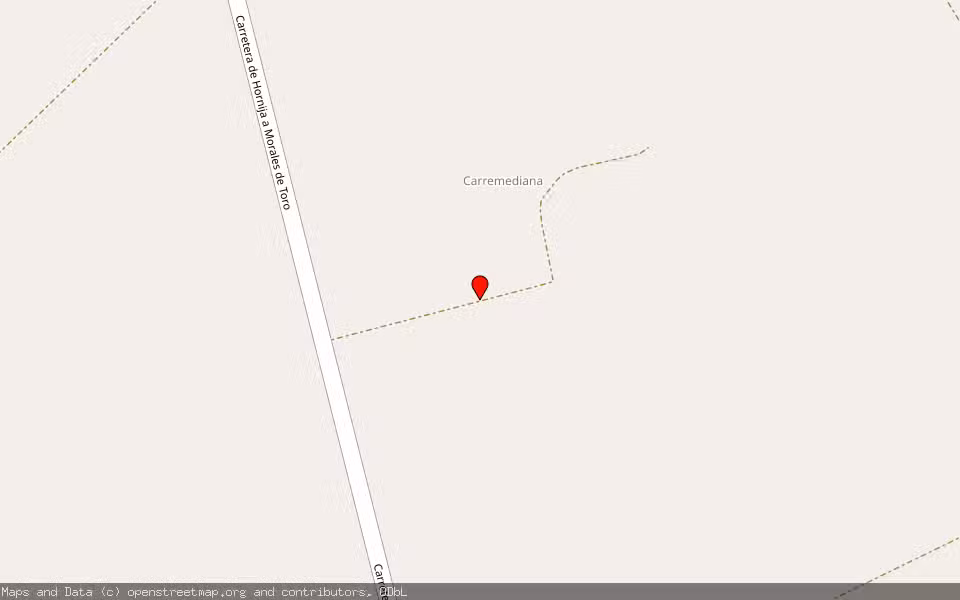 Mapa de Subasta Inmueble (Finca rústica) en Morales De Toro, Zamora
