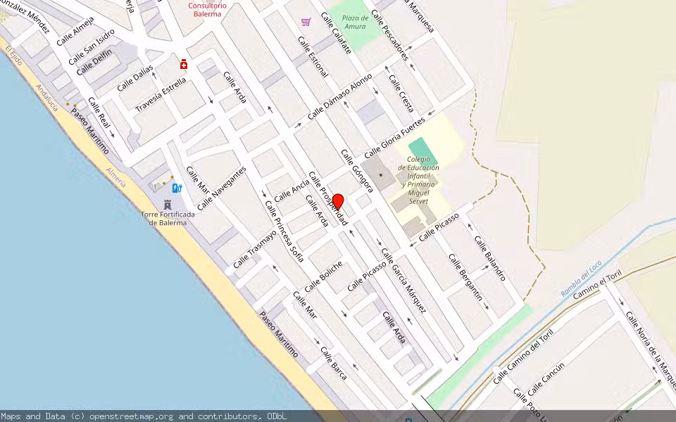 Mapa de Subasta Inmueble (Vivienda) en El Ejido, Almería