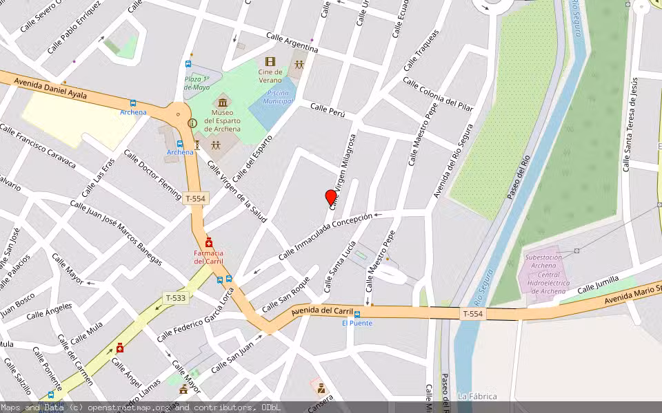 Mapa de Subasta Inmueble (Vivienda) en Archena, Murcia