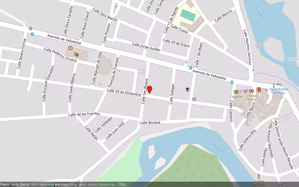 Mapa de Subasta Inmueble (Vivienda) en Tudela De Duero, Valladolid