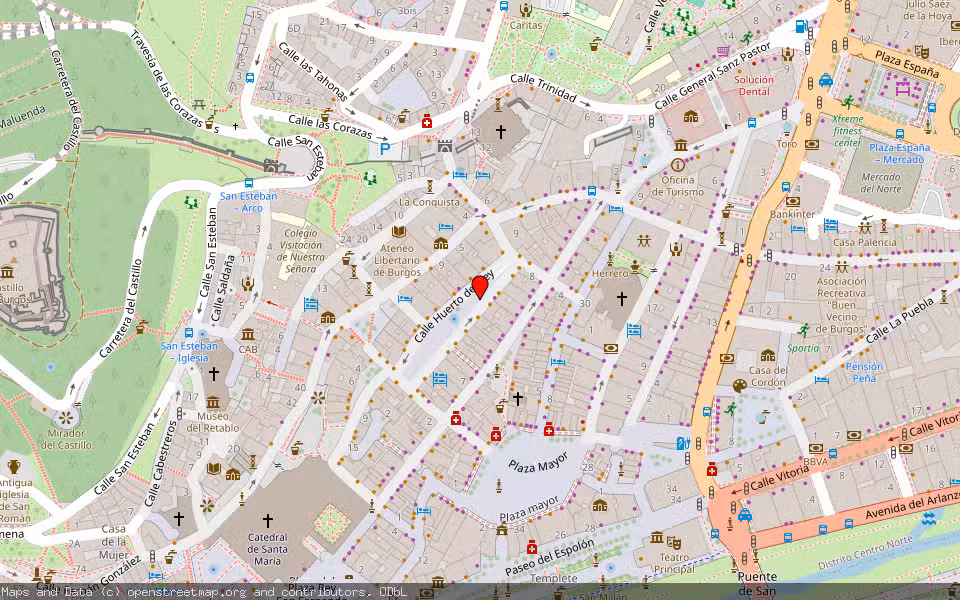 Mapa de Subasta Inmueble (Local comercial) en Burgos