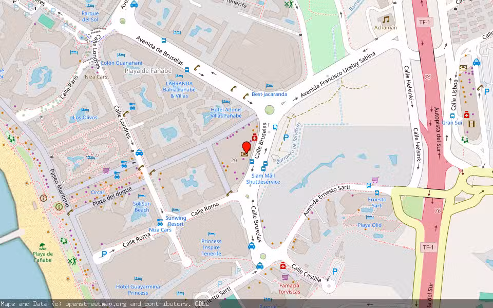 Mapa de Subasta Inmueble (Local comercial) en Adeje, Santa Cruz de Tenerife