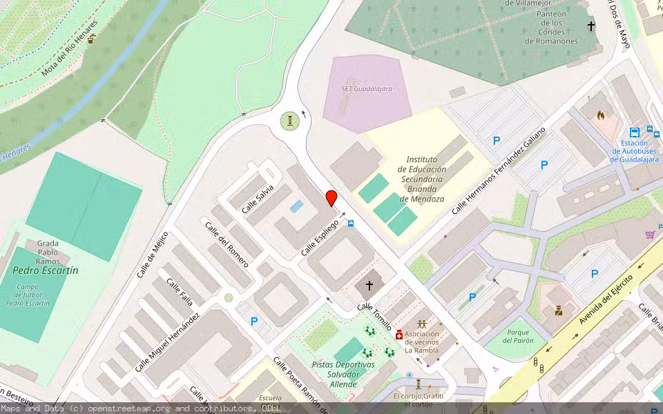 Mapa de Subasta Inmueble (Vivienda) en Guadalajara