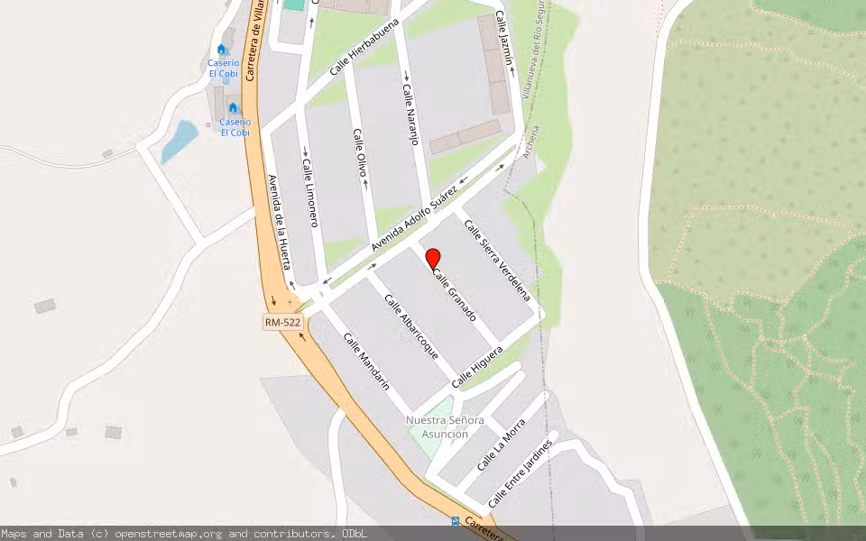 Mapa de Subasta Inmueble (Vivienda) en Villanueva Del Río Segura, Murcia