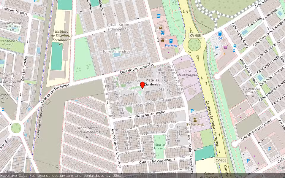 Mapa de Subasta Inmueble (Vivienda) en Torrevieja, Alicante/Alacant