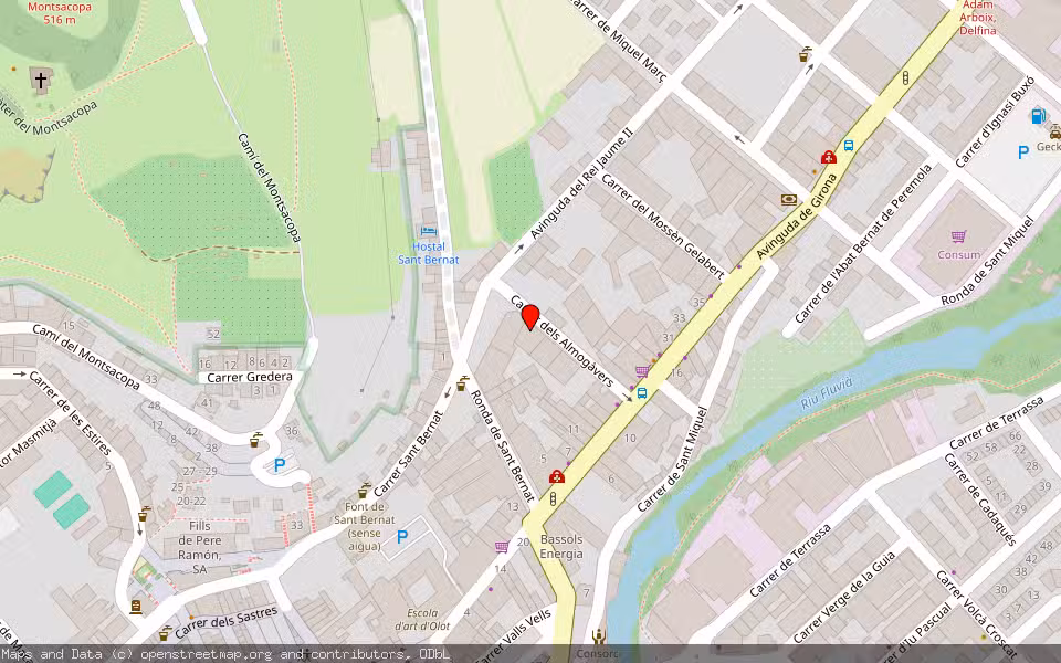 Mapa de Subasta Inmueble (Vivienda) en Olot, Girona