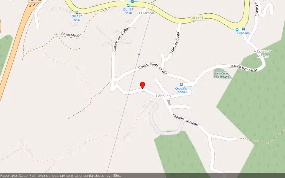 Mapa de Subasta Inmueble (Vivienda) en Ourense