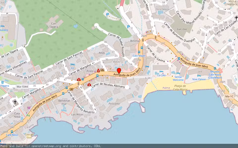 Mapa de Subasta Inmueble (Local comercial) en Palma De Mallorca, Illes Balears