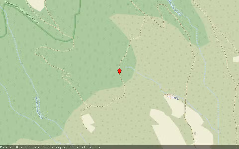 Mapa de Subasta Inmueble (Finca rústica) en Arico, Santa Cruz de Tenerife