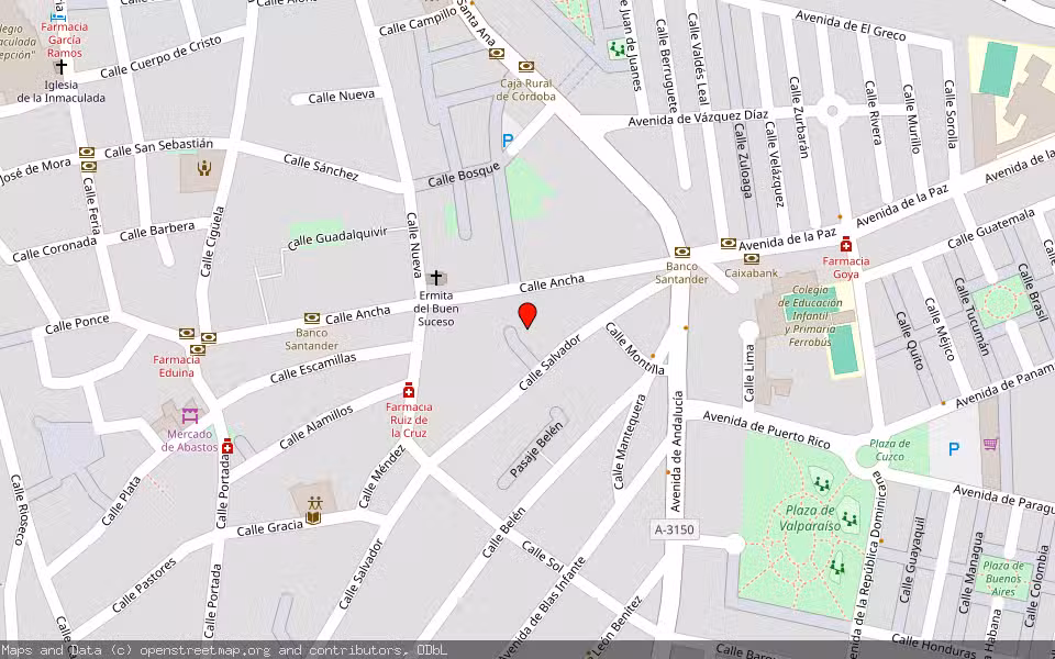Mapa de Subasta Inmueble (Vivienda) en Palma Del Río, Córdoba