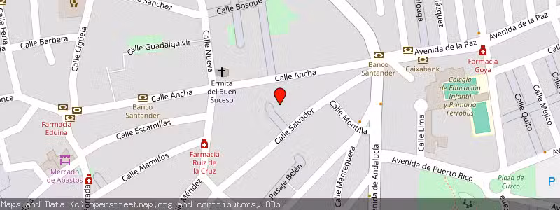 Mapa de Subasta de Inmueble (Vivienda) en Palma Del Río, Córdoba 