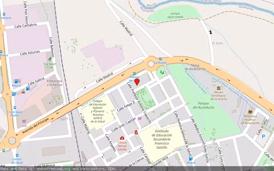 Mapa de Subasta Inmueble (Garaje) en Alcantarilla, Murcia