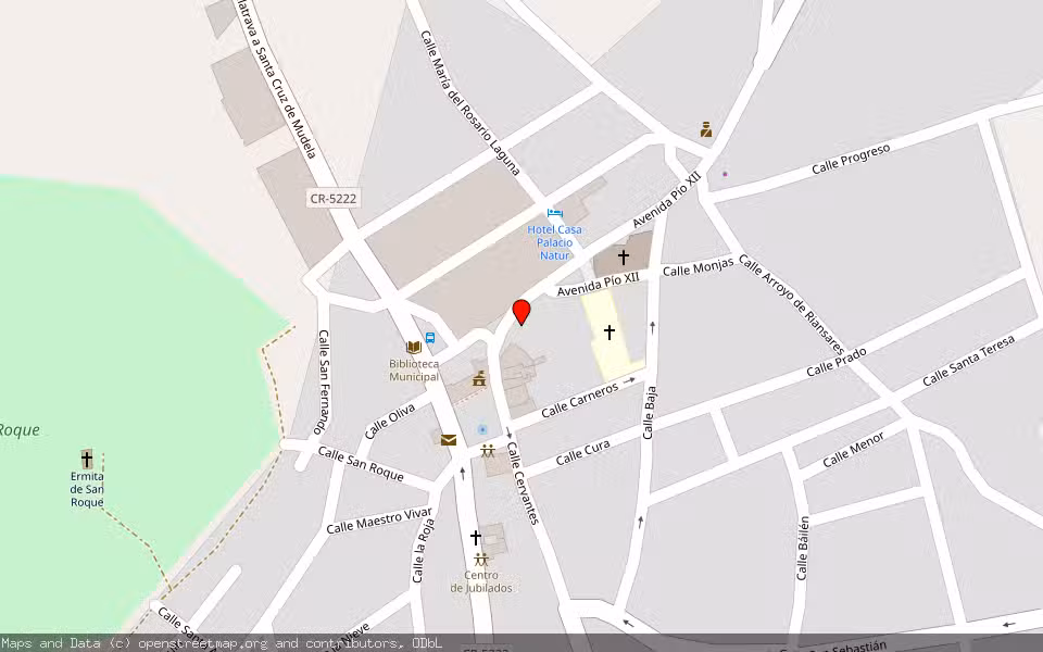 Mapa de Subasta Inmueble (Local comercial) en Santa Cruz De Mudela, Ciudad Real