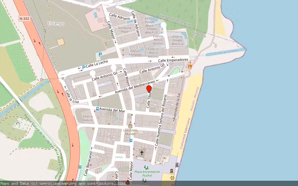 Mapa de Subasta Inmueble (Vivienda) en Torrevieja, Alicante/Alacant